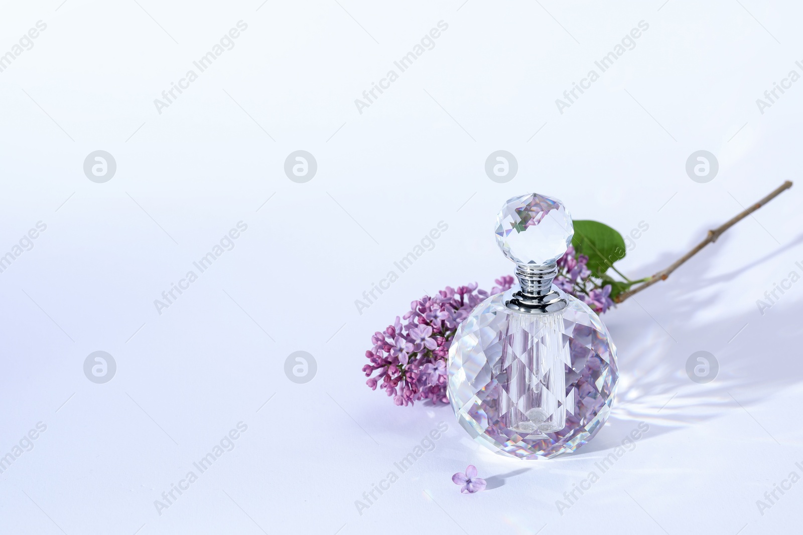 Perfume bottle and branch with lilac flowers on light grey background. Space for text Photo of Perfume bottle and branch with lilac flowers on light grey background. Space for text