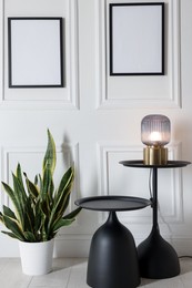 Photo of Lamp, stylish black coffee tables and houseplant near white wall indoors