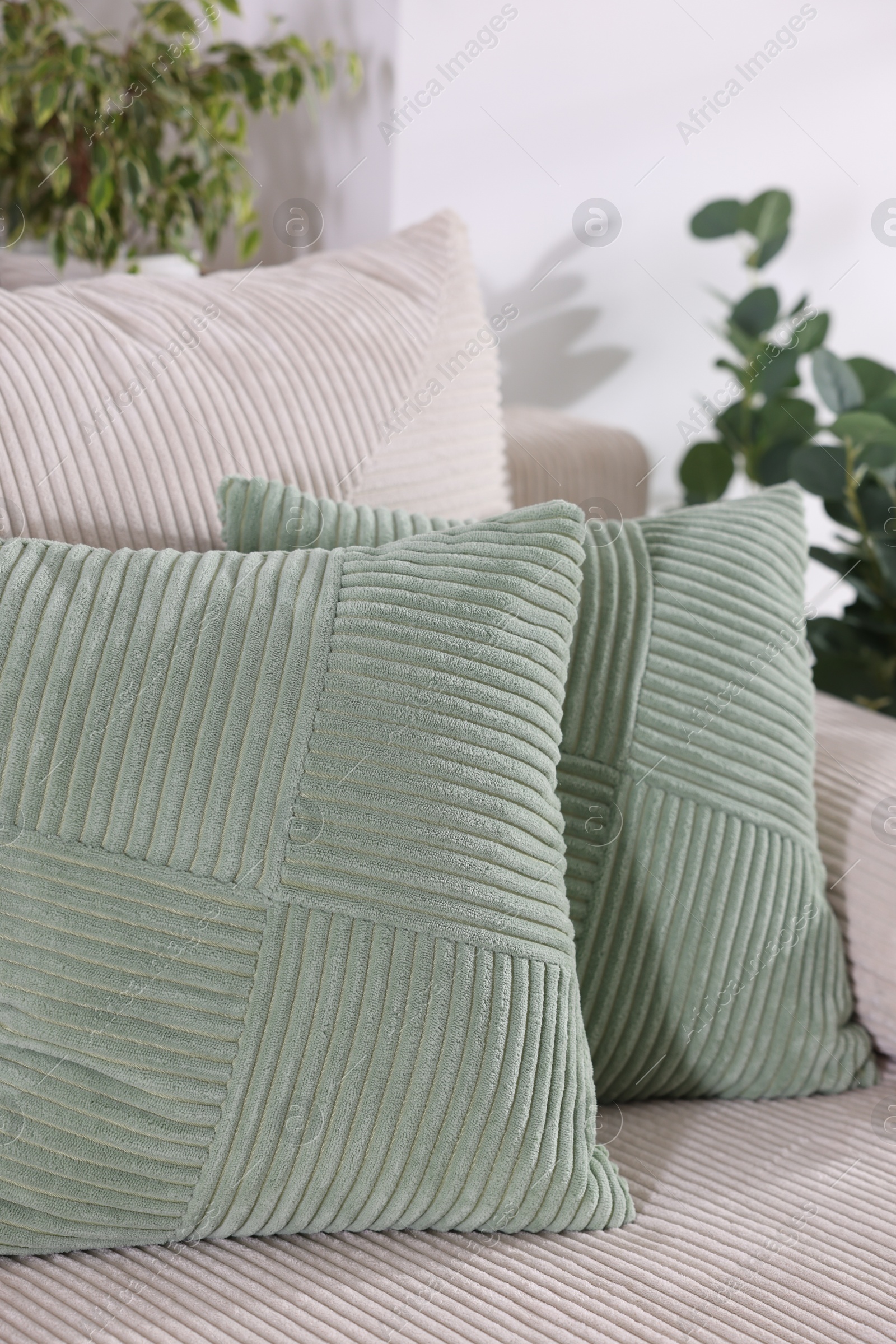Two light green cushions on sofa indoors Photo of Two light green cushions on sofa indoors