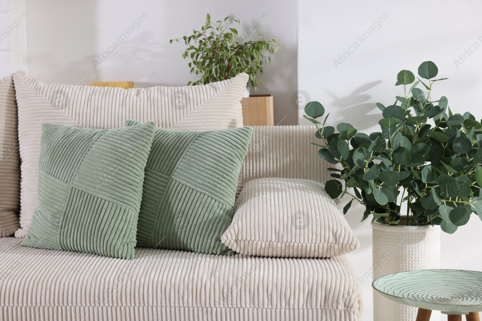 Two light green cushions on sofa indoors Photo of Two light green cushions on sofa indoors