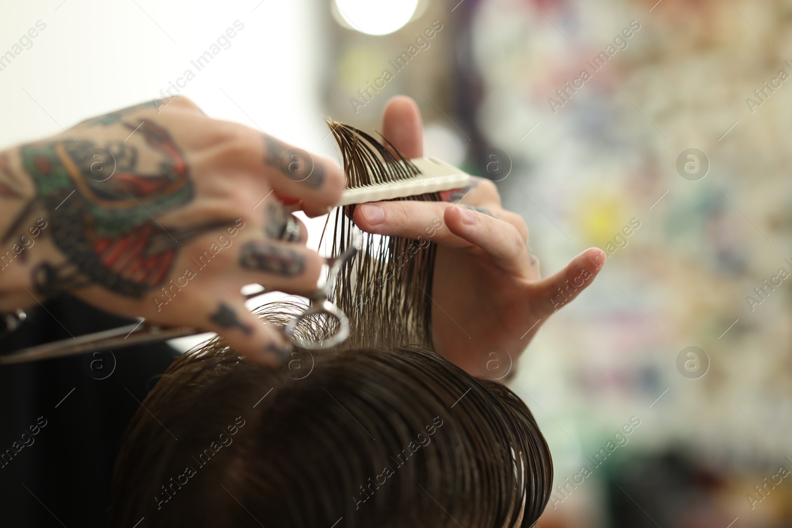 Professional barber making stylish haircut in barbershop, closeup Photo of Professional barber making stylish haircut in barbershop, closeup