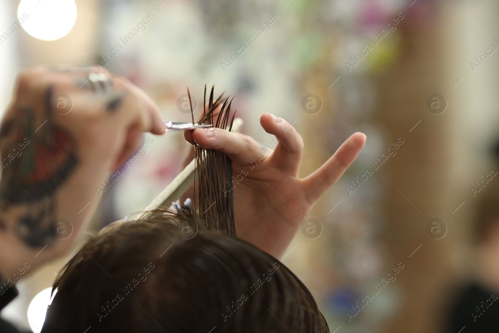 Professional barber cutting client's hair with scissors in barbershop, closeup. Space for text Photo of Professional barber cutting client's hair with scissors in barbershop, closeup. Space for text