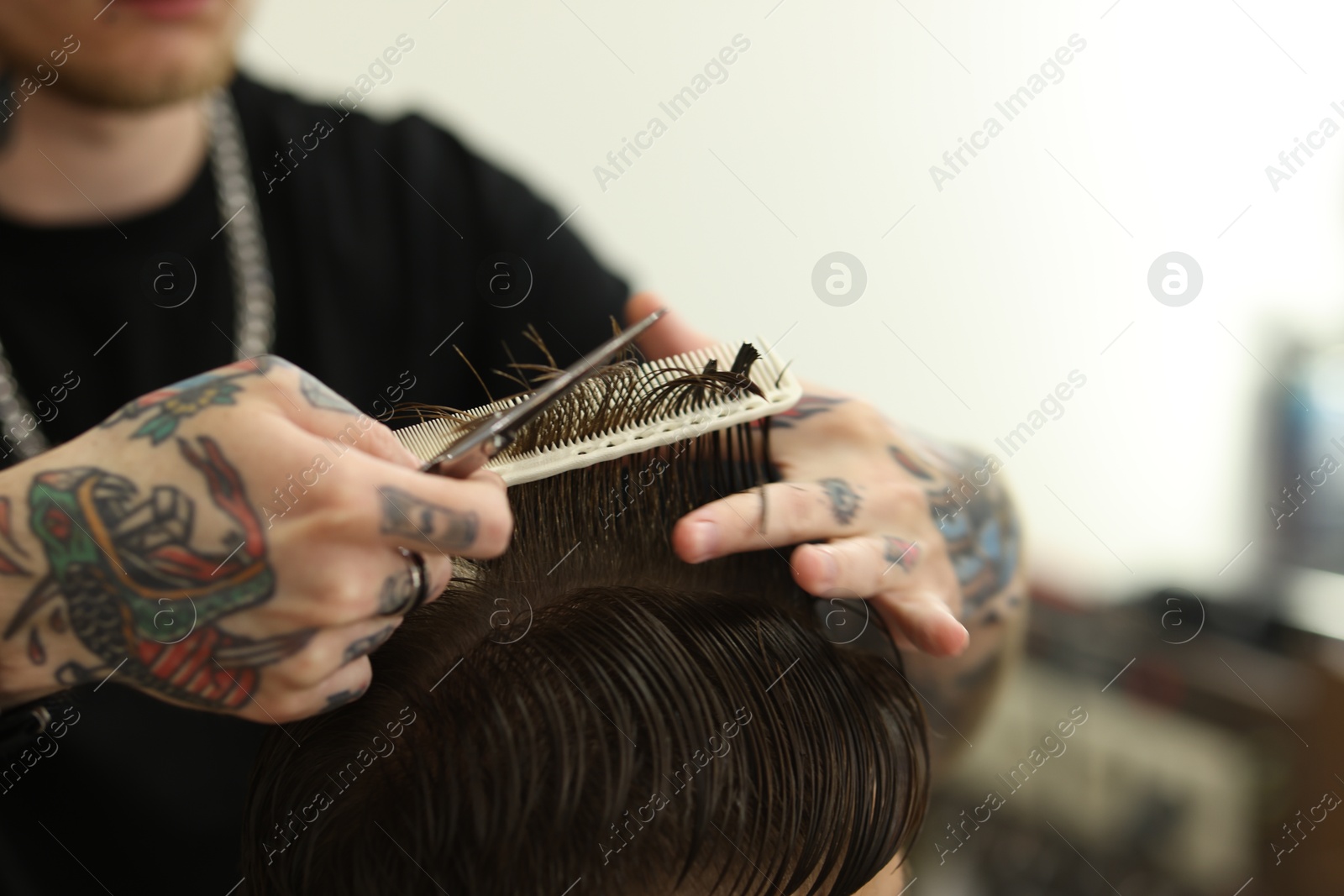Professional barber cutting client's hair with scissors in barbershop, closeup. Space for text Photo of Professional barber cutting client's hair with scissors in barbershop, closeup. Space for text