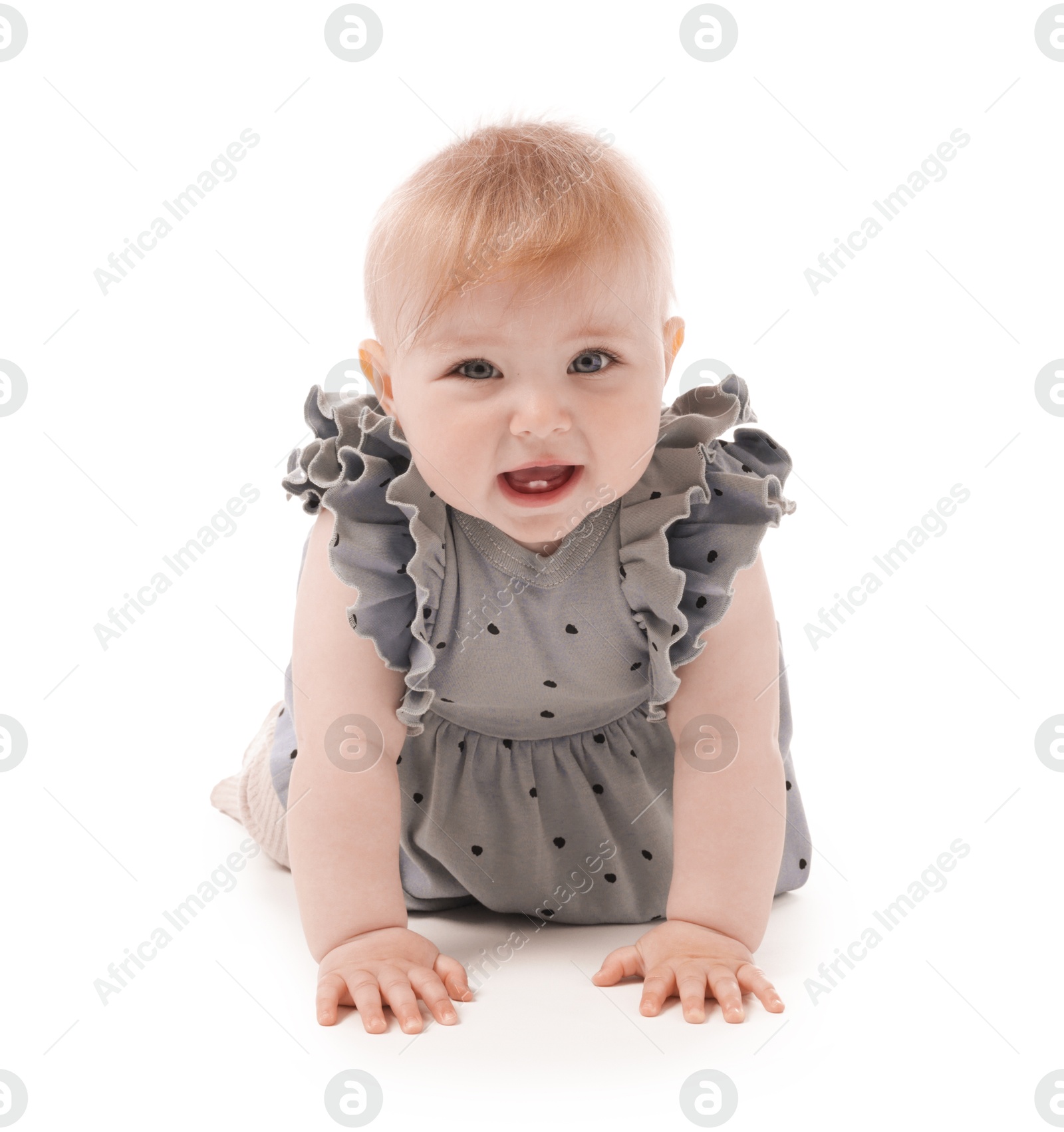 Cute little baby crawling on white background Photo of Cute little baby crawling on white background