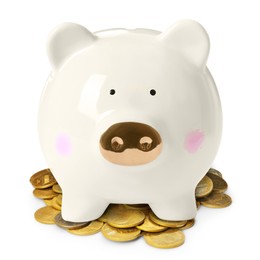 Image of Piggy bank and coins on white background