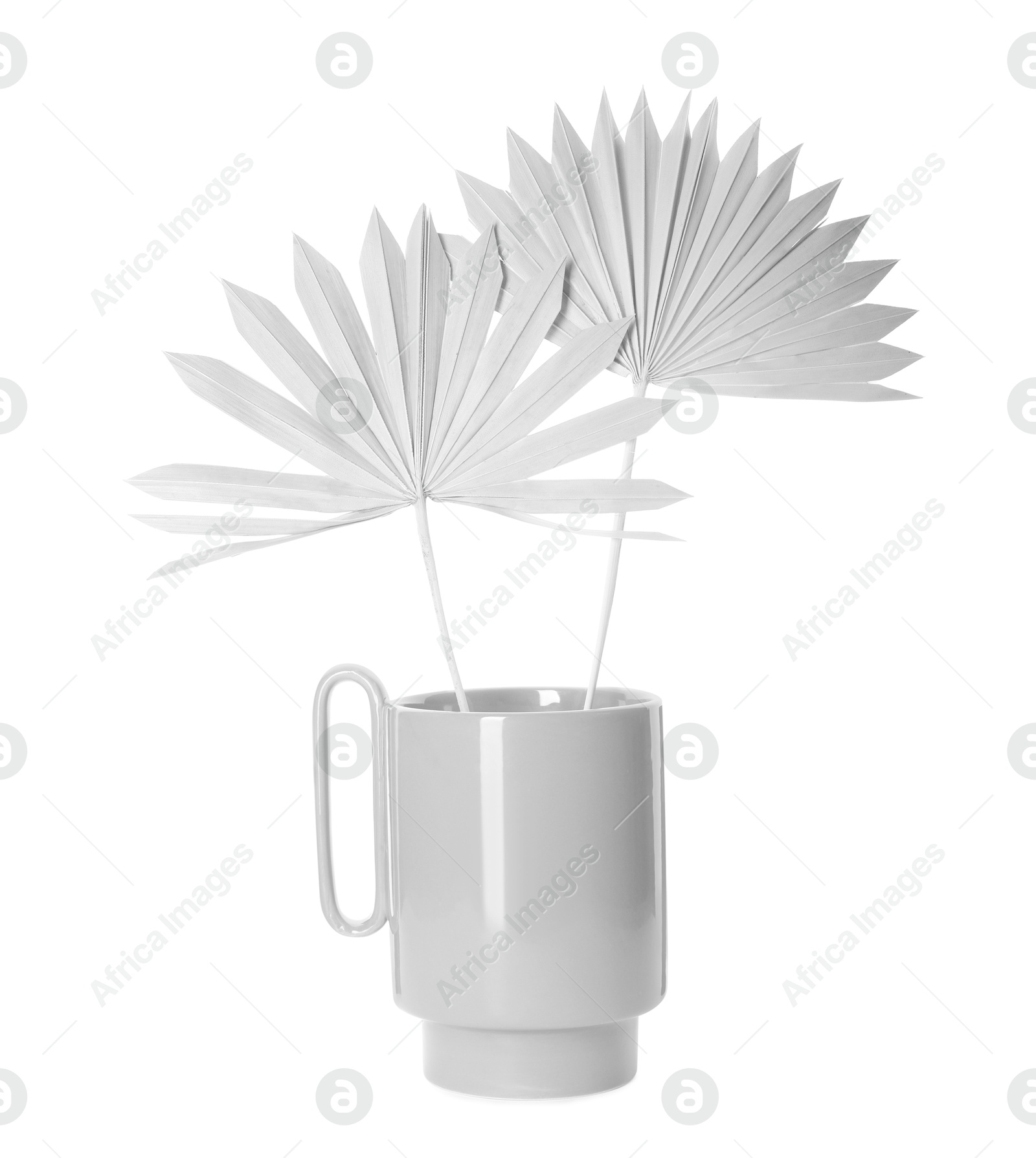 Stylish white ceramic vase with dry leaves on white background Image of Stylish white ceramic vase with dry leaves on white background