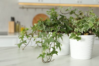 Photo of Beautiful potted houseplants with green leaves on white marble table indoors