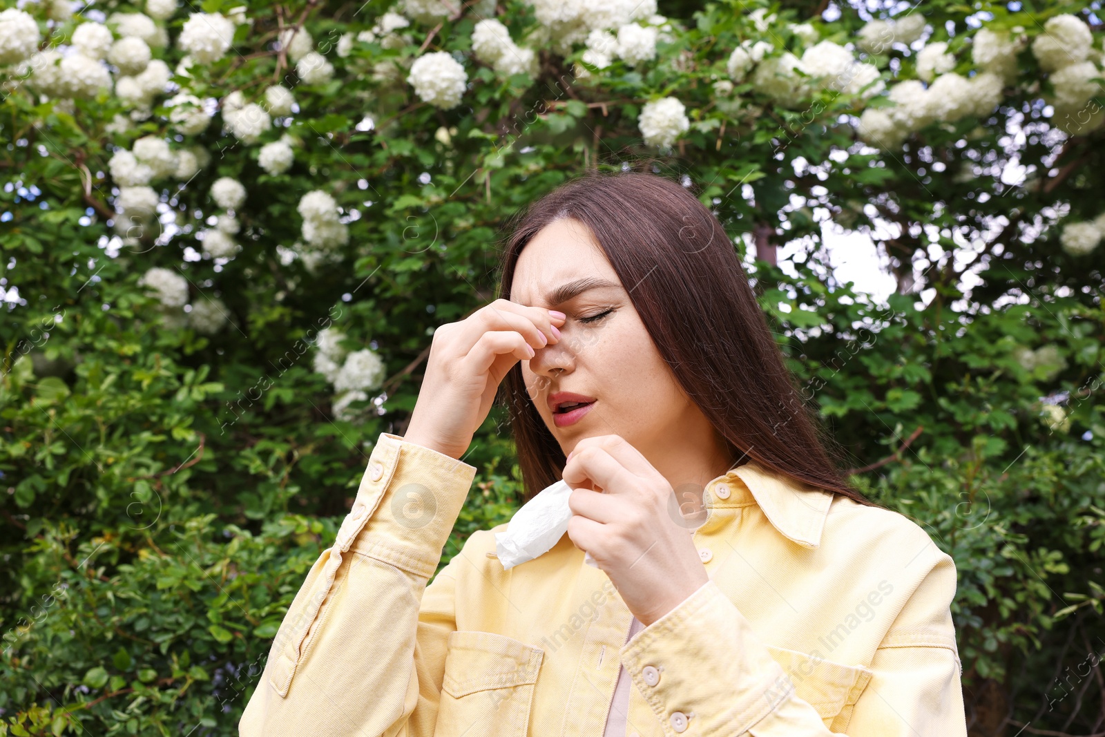 Woman with paper tissue suffering from seasonal pollen allergy near blossoming shrub on spring day Photo of Woman with paper tissue suffering from seasonal pollen allergy near blossoming shrub on spring day