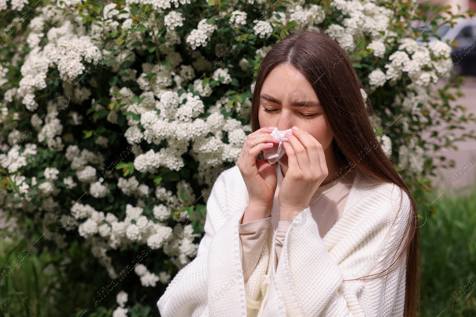 Woman with paper tissue suffering from seasonal pollen allergy near blossoming shrub on spring day, space for text Photo of Woman with paper tissue suffering from seasonal pollen allergy near blossoming shrub on spring day, space for text