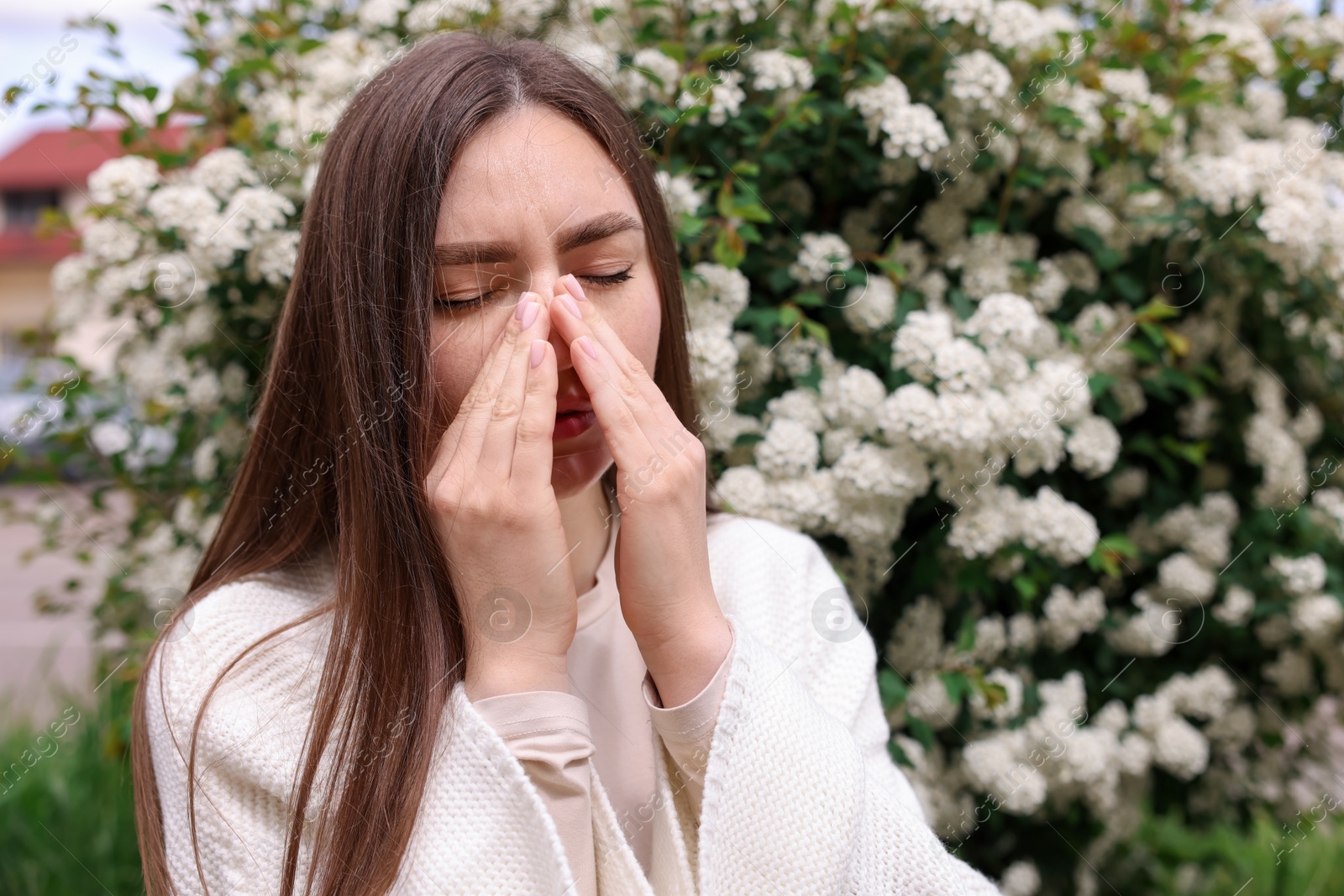 Woman suffering from seasonal pollen allergy near blossoming shrub on spring day, space for text Photo of Woman suffering from seasonal pollen allergy near blossoming shrub on spring day, space for text