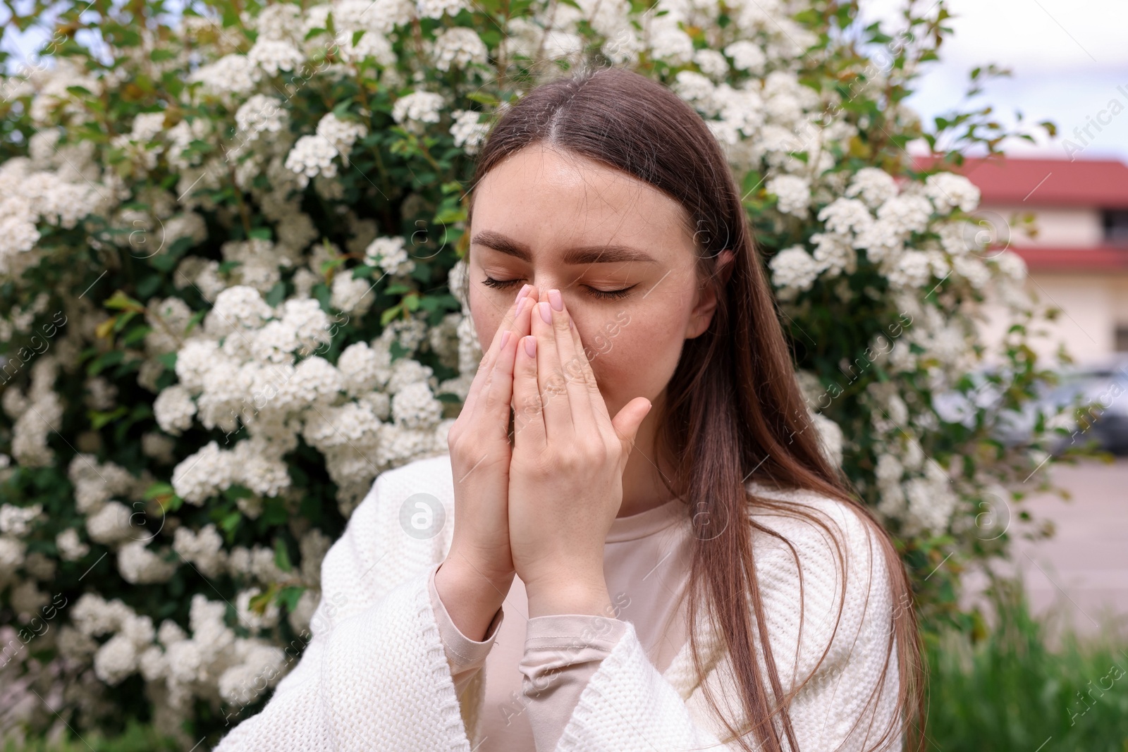 Woman suffering from seasonal pollen allergy near blossoming shrub on spring day Photo of Woman suffering from seasonal pollen allergy near blossoming shrub on spring day