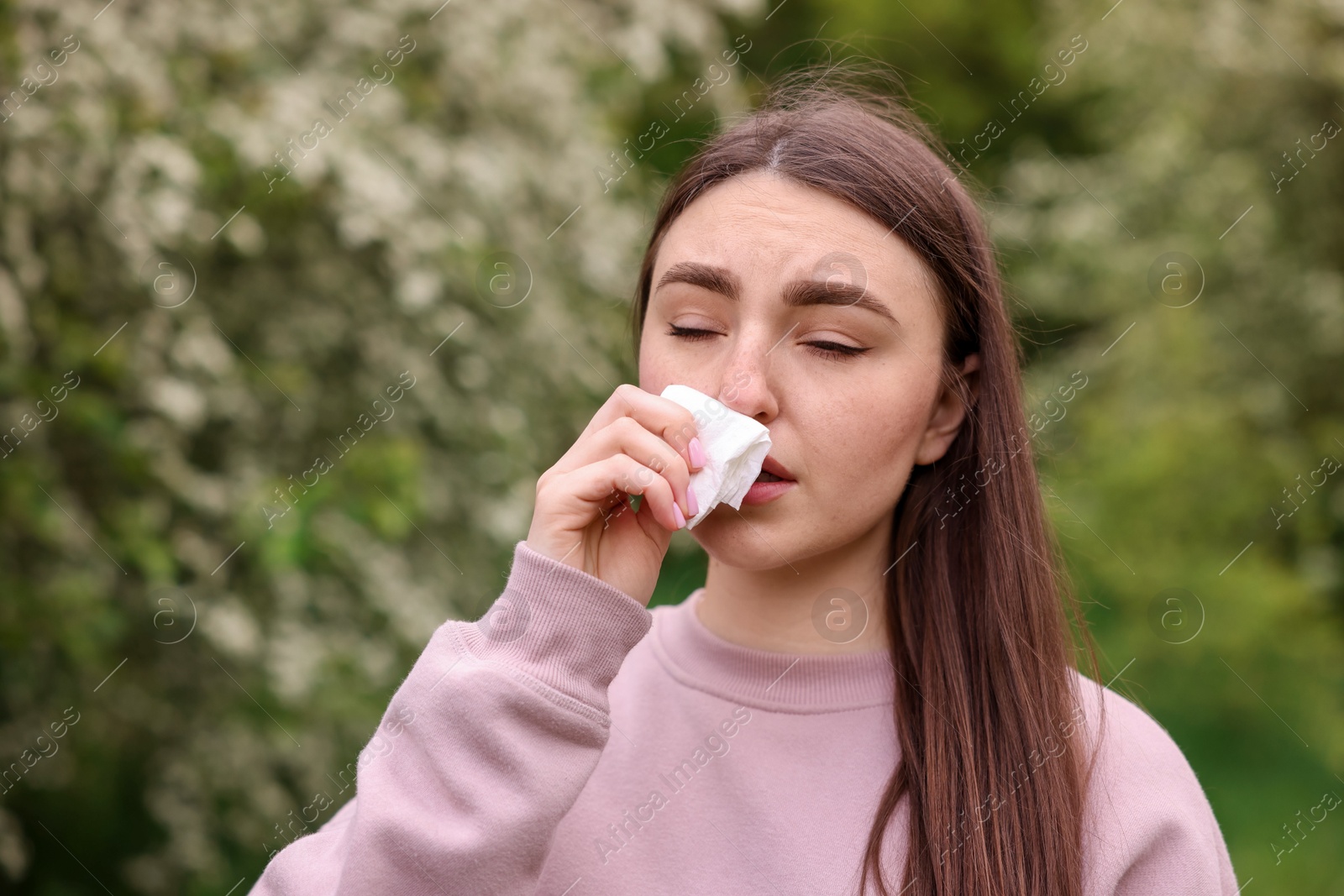 Woman with paper tissue suffering from seasonal pollen allergy near blossoming shrub on spring day Photo of Woman with paper tissue suffering from seasonal pollen allergy near blossoming shrub on spring day