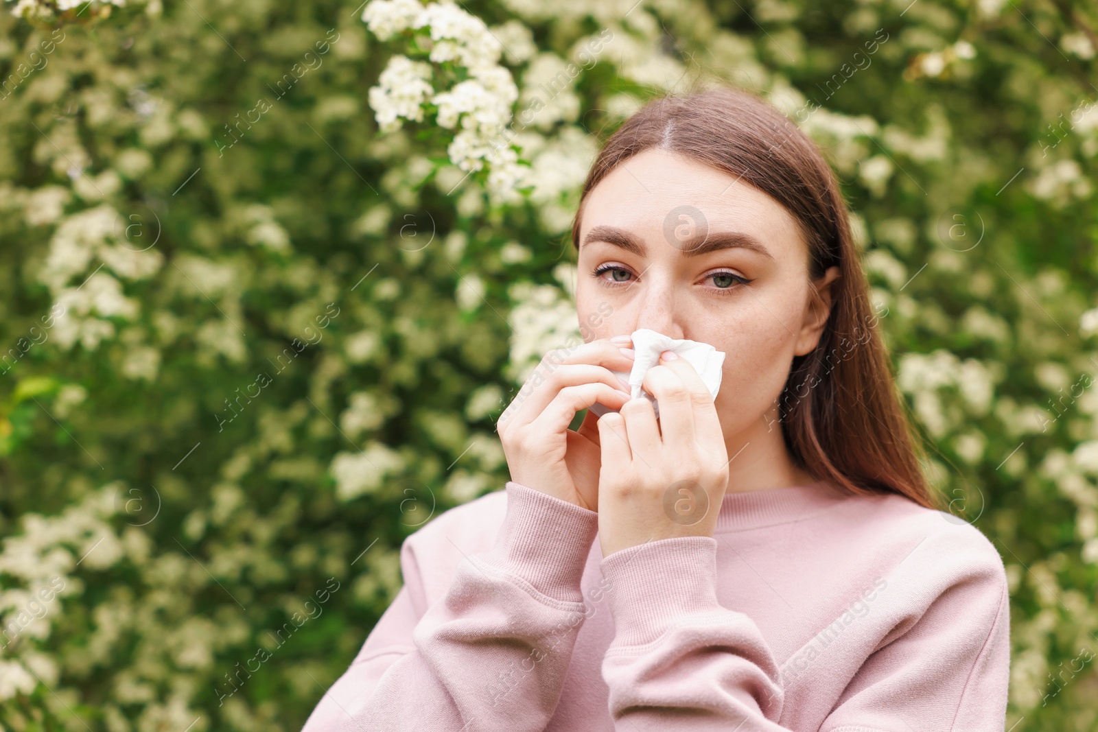 Woman with paper tissue suffering from seasonal pollen allergy near blossoming shrub on spring day, space for text Photo of Woman with paper tissue suffering from seasonal pollen allergy near blossoming shrub on spring day, space for text