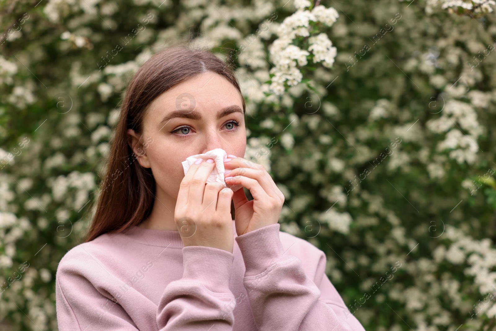 Woman with paper tissue suffering from seasonal pollen allergy near blossoming shrub on spring day, space for text Photo of Woman with paper tissue suffering from seasonal pollen allergy near blossoming shrub on spring day, space for text