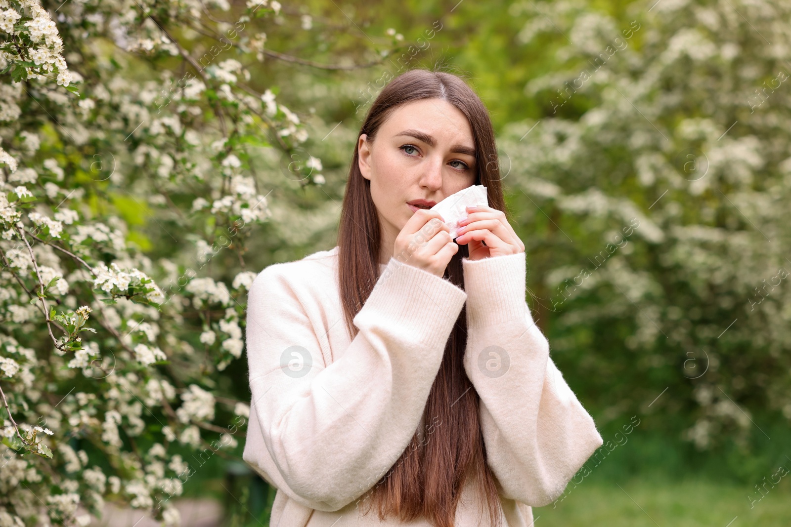 Woman with paper tissue suffering from seasonal pollen allergy near blossoming shrub on spring day Photo of Woman with paper tissue suffering from seasonal pollen allergy near blossoming shrub on spring day