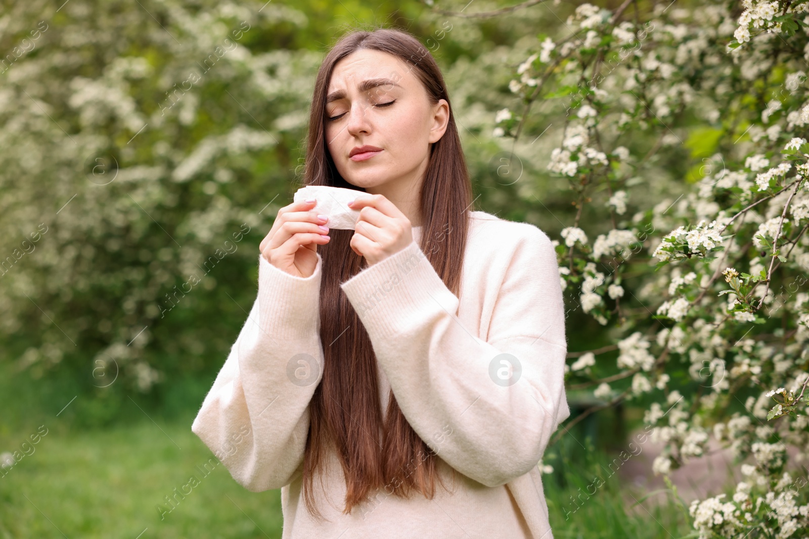 Woman with paper tissue suffering from seasonal pollen allergy near blossoming shrub on spring day Photo of Woman with paper tissue suffering from seasonal pollen allergy near blossoming shrub on spring day