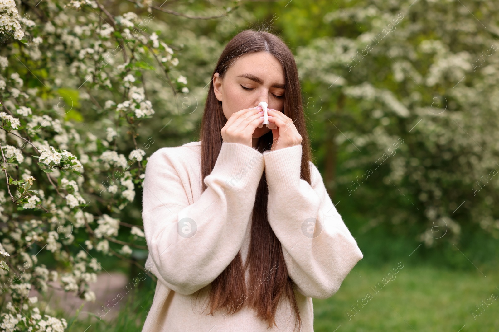 Woman with paper tissue suffering from seasonal pollen allergy near blossoming shrub on spring day Photo of Woman with paper tissue suffering from seasonal pollen allergy near blossoming shrub on spring day