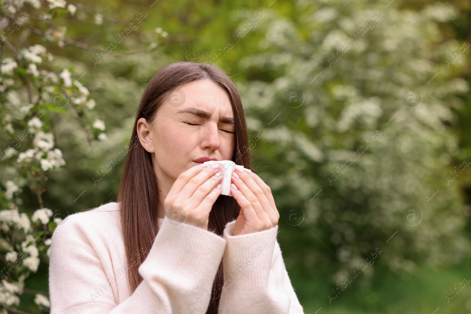 Woman with paper tissue suffering from seasonal pollen allergy near blossoming shrub on spring day, space for text Photo of Woman with paper tissue suffering from seasonal pollen allergy near blossoming shrub on spring day, space for text
