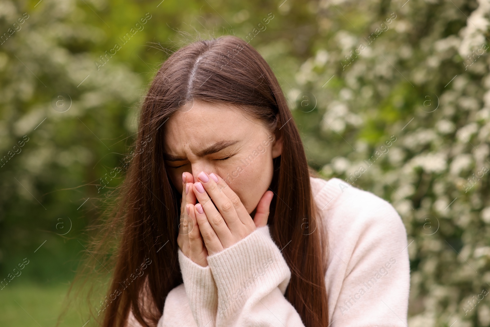 Woman suffering from seasonal pollen allergy near blossoming shrub on spring day Photo of Woman suffering from seasonal pollen allergy near blossoming shrub on spring day