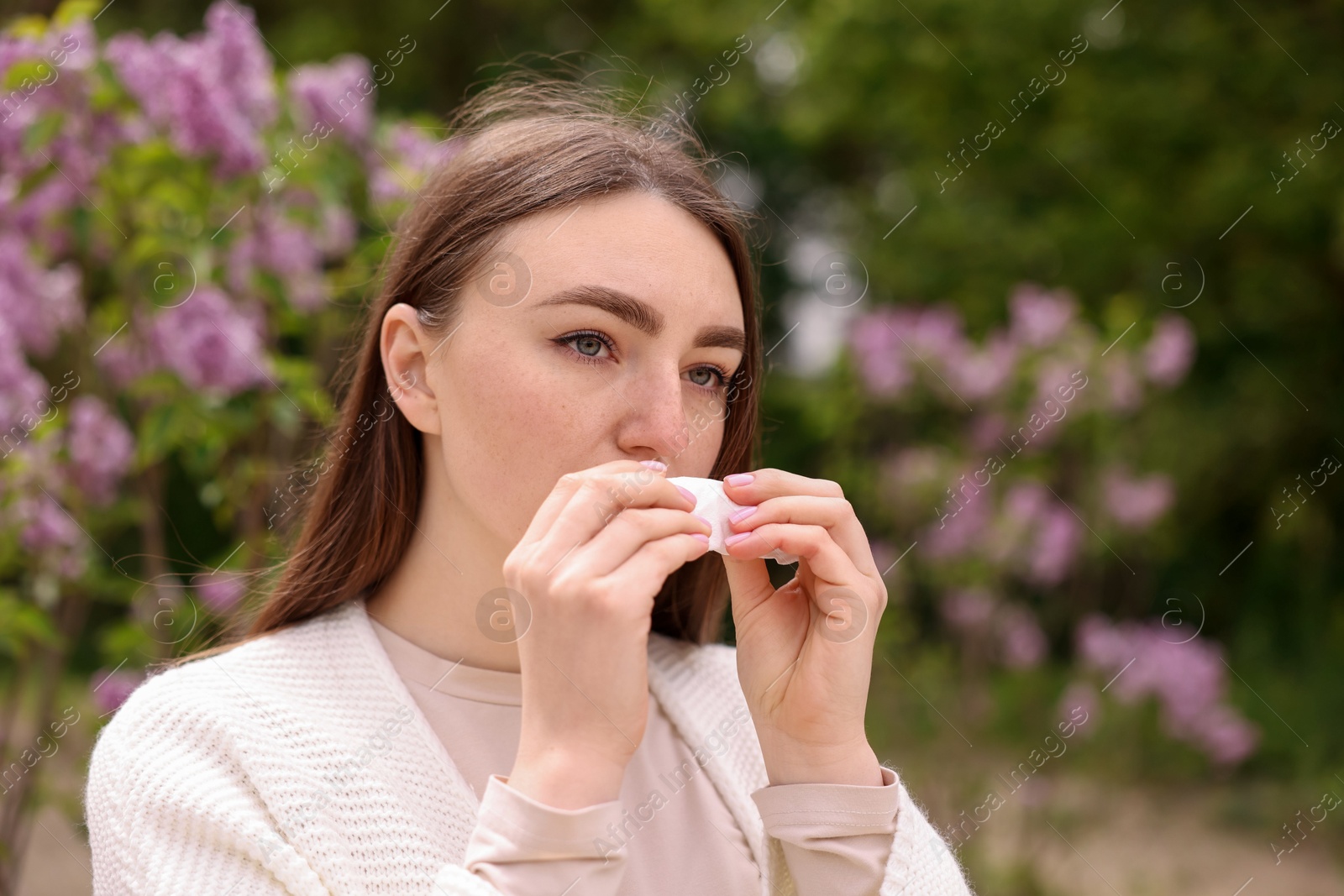 Woman with paper tissue suffering from seasonal pollen allergy near blossoming shrub on spring day, space for text Photo of Woman with paper tissue suffering from seasonal pollen allergy near blossoming shrub on spring day, space for text