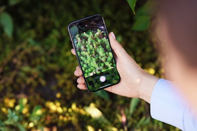 Photo of Woman using plant recognition application on smartphone outdoors, closeup. Space for text