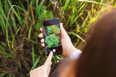 Photo of Woman using plant recognition application on smartphone outdoors, closeup