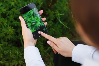 Photo of Woman using plant recognition application on smartphone outdoors, closeup