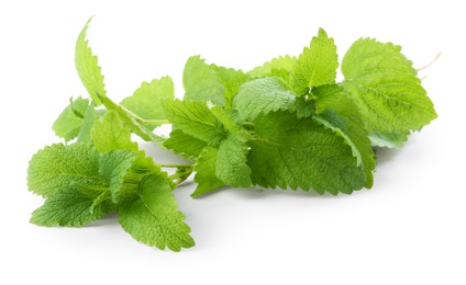 Photo of Fresh green lemon balm leaves isolated on white