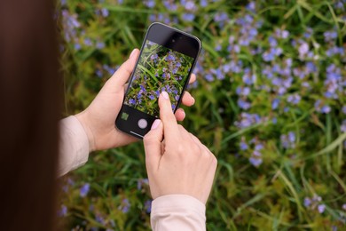 Photo of Woman using plant recognition application on smartphone outdoors, closeup. Space for text