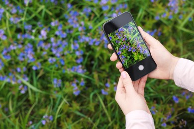 Photo of Woman using plant recognition application on smartphone outdoors, closeup. Space for text