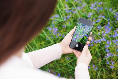 Photo of Woman using plant recognition application on smartphone outdoors, closeup
