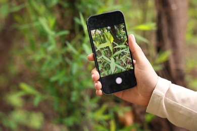 Photo of Woman using plant recognition application on smartphone outdoors, closeup. Space for text