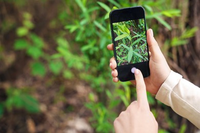 Photo of Woman using plant recognition application on smartphone outdoors, closeup. Space for text