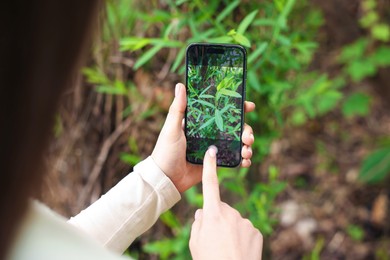 Photo of Woman using plant recognition application on smartphone outdoors, closeup