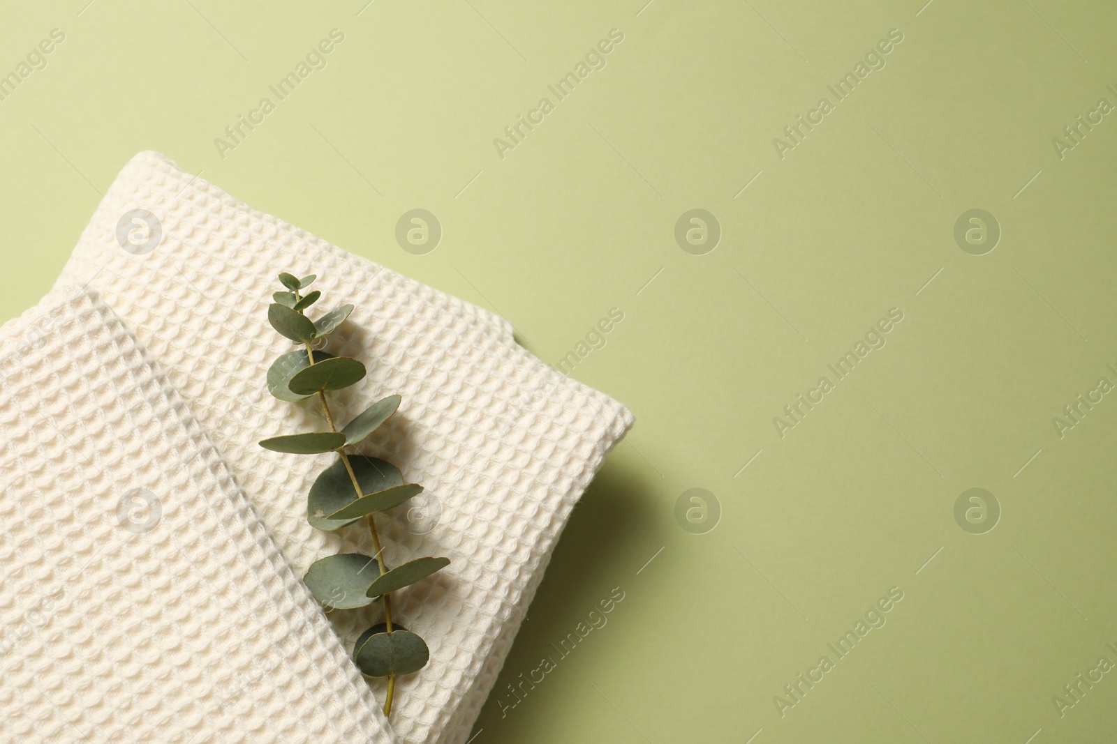 Clean waffle towels and eucalyptus branch on olive background, top view. Space for text Photo of Clean waffle towels and eucalyptus branch on olive background, top view. Space for text