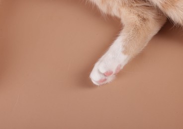 Photo of Cat with fluffy paw on beige background, above view. Space for text