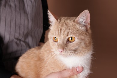 Photo of Owner with adorable ginger cat on brown background, closeup