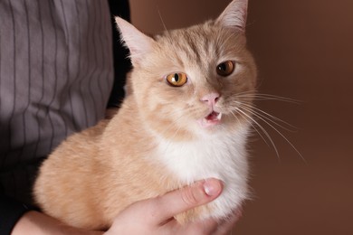Photo of Owner with adorable ginger cat on brown background, closeup