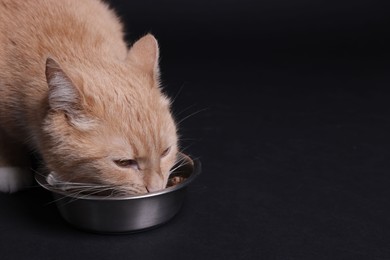 Photo of Adorable ginger cat eating from bowl on black background, closeup. Space for text