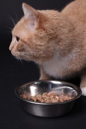 Photo of Adorable ginger cat with bowl of pet food on black background
