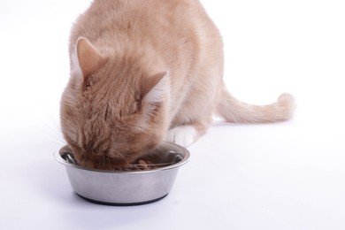 Photo of Adorable ginger cat eating pet food from bowl on light background, closeup