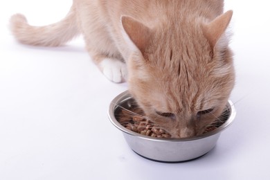 Photo of Adorable ginger cat eating pet food from bowl on light background, closeup