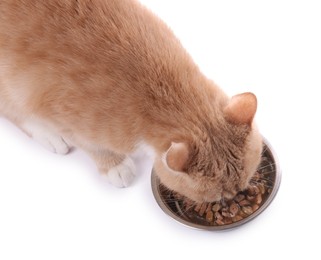 Photo of Adorable ginger cat eating pet food from bowl on white background