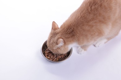 Photo of Adorable ginger cat eating pet food from bowl on white background