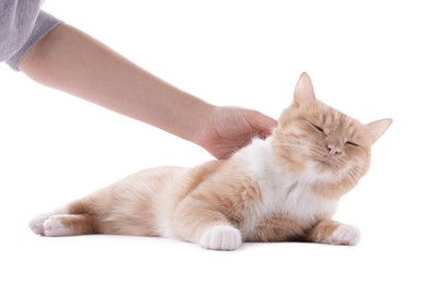 Photo of Owner stroking adorable ginger cat on white background, closeup