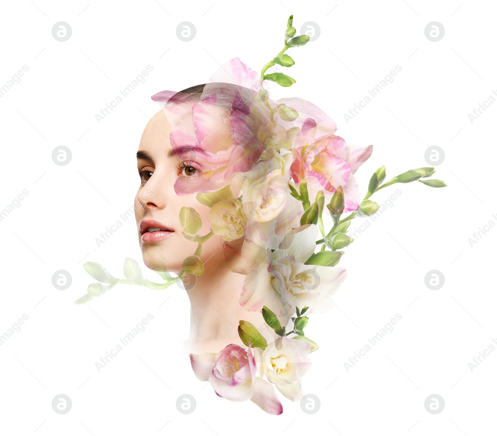 Attractive woman and freesia flowers on white background, double exposure Image of Attractive woman and freesia flowers on white background, double exposure