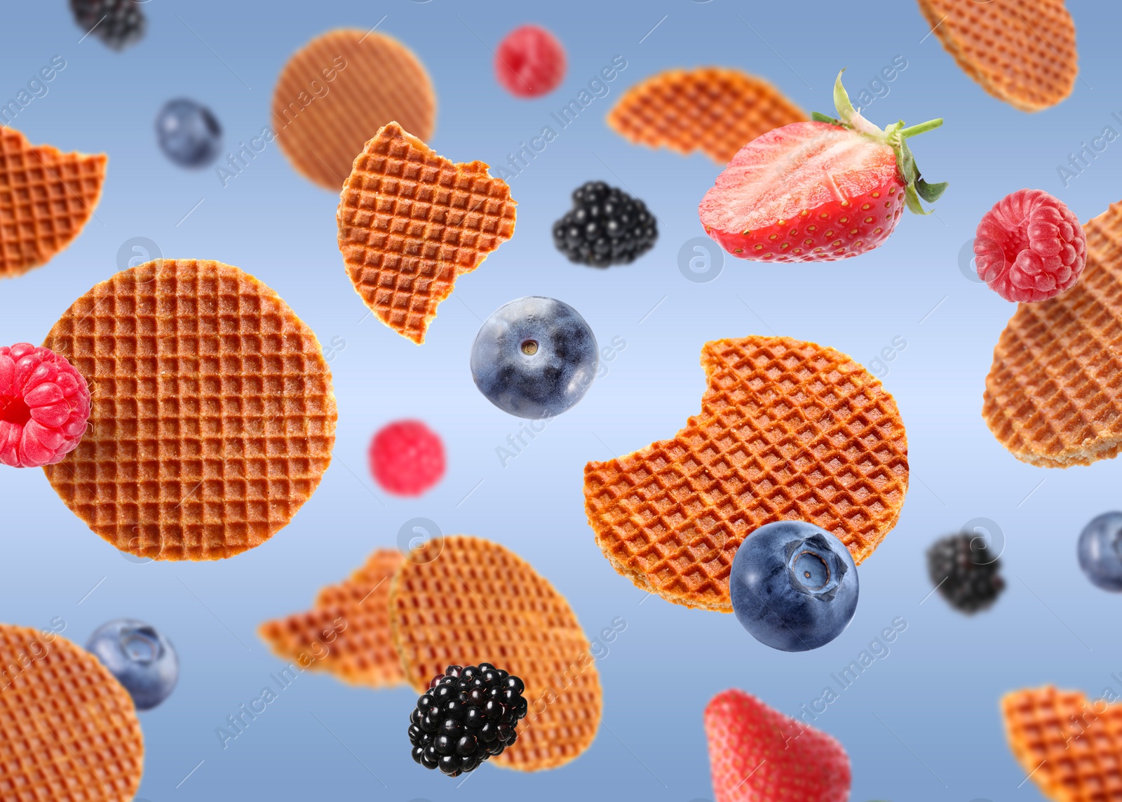 Tasty Dutch waffles and fresh berries flying on blue gradient background Image of Tasty Dutch waffles and fresh berries flying on blue gradient background