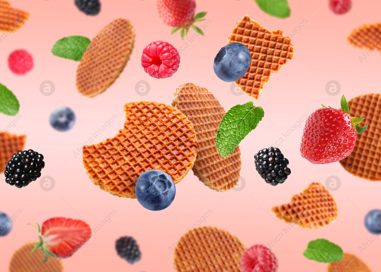 Tasty Dutch waffles, fresh berries and mint flying on pink gradient background Image of Tasty Dutch waffles, fresh berries and mint flying on pink gradient background