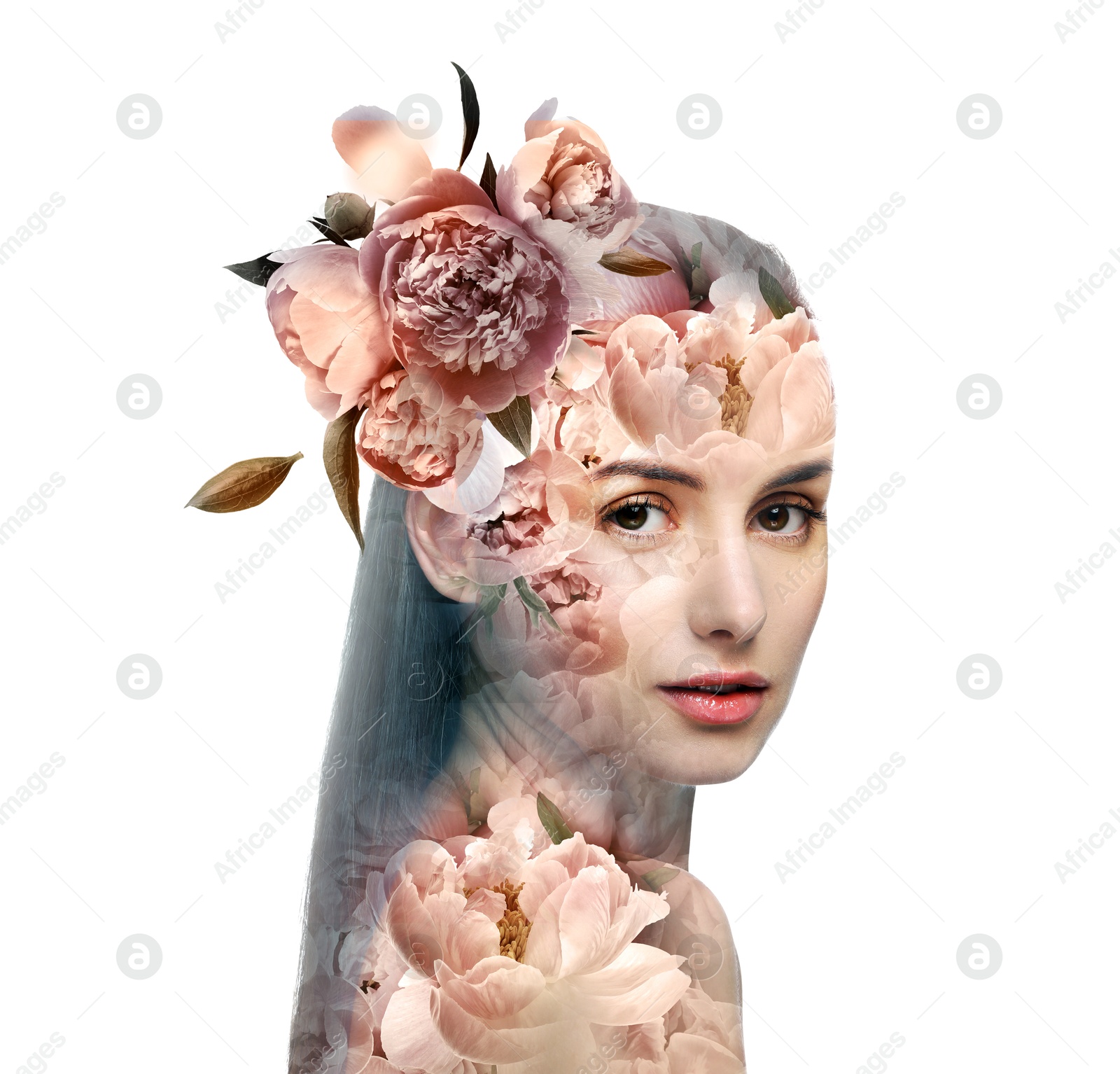 Attractive woman and peony flowers on white background, double exposure Image of Attractive woman and peony flowers on white background, double exposure