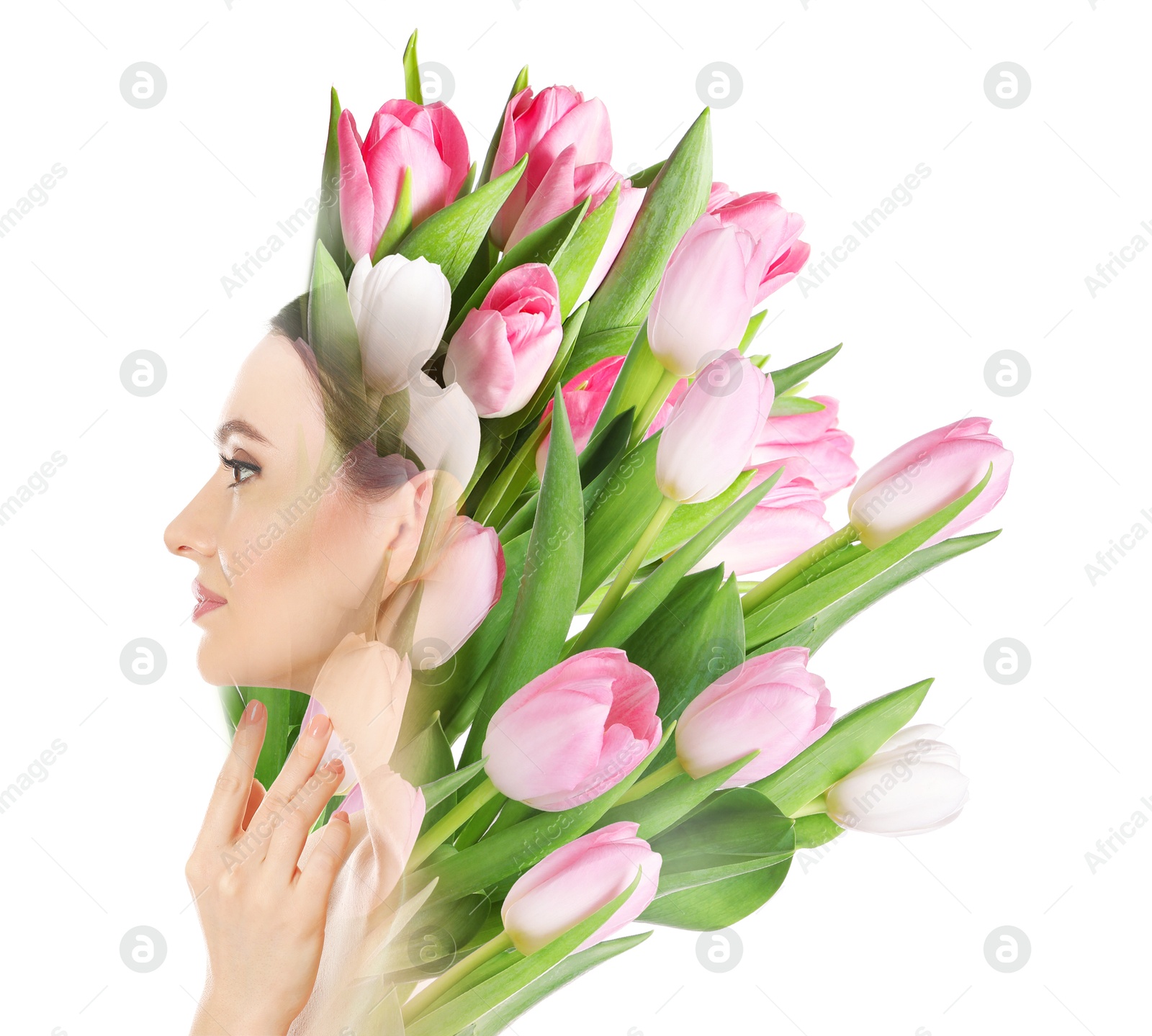 Attractive woman and pink tulips on white background, double exposure Image of Attractive woman and pink tulips on white background, double exposure